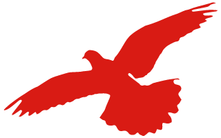 唐山丰南刘贺海：年收入翻两番 平博88收获花生机带来意外之喜 (图1)