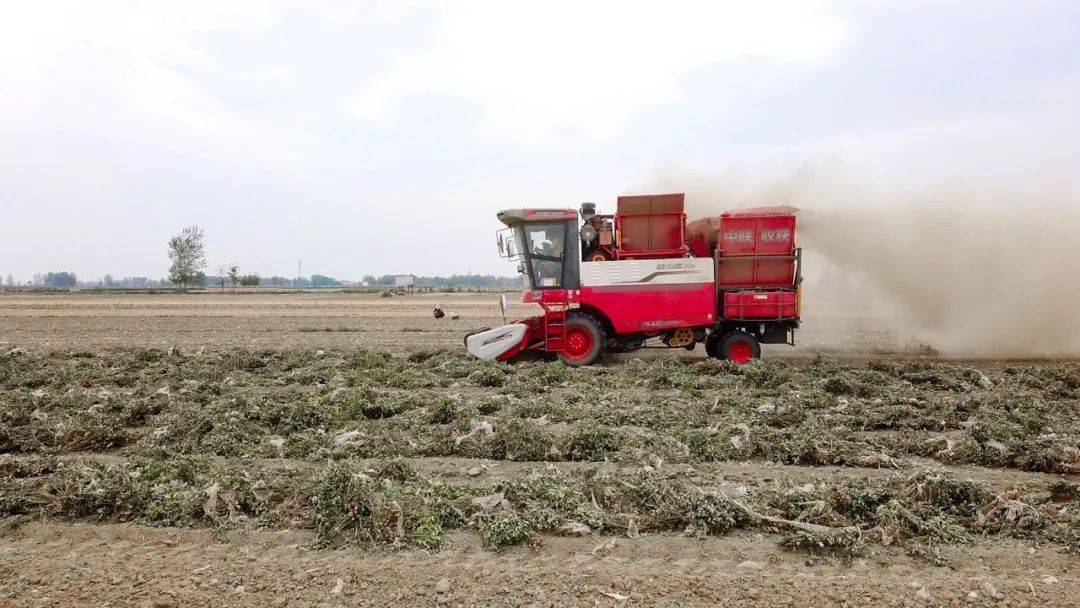 唐山丰南刘贺海：年收入翻两番 平博88收获花生机带来意外之喜 (图5)